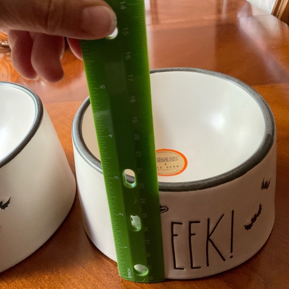 NWT SNOOPY “EEK” Rae Dunn x Peanuts Halloween Dog Dish, Raised, small - Picture 4 of 9